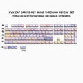 XVX Lumicat Keycaps: Best Custom Side Printed Gaming Keycaps
