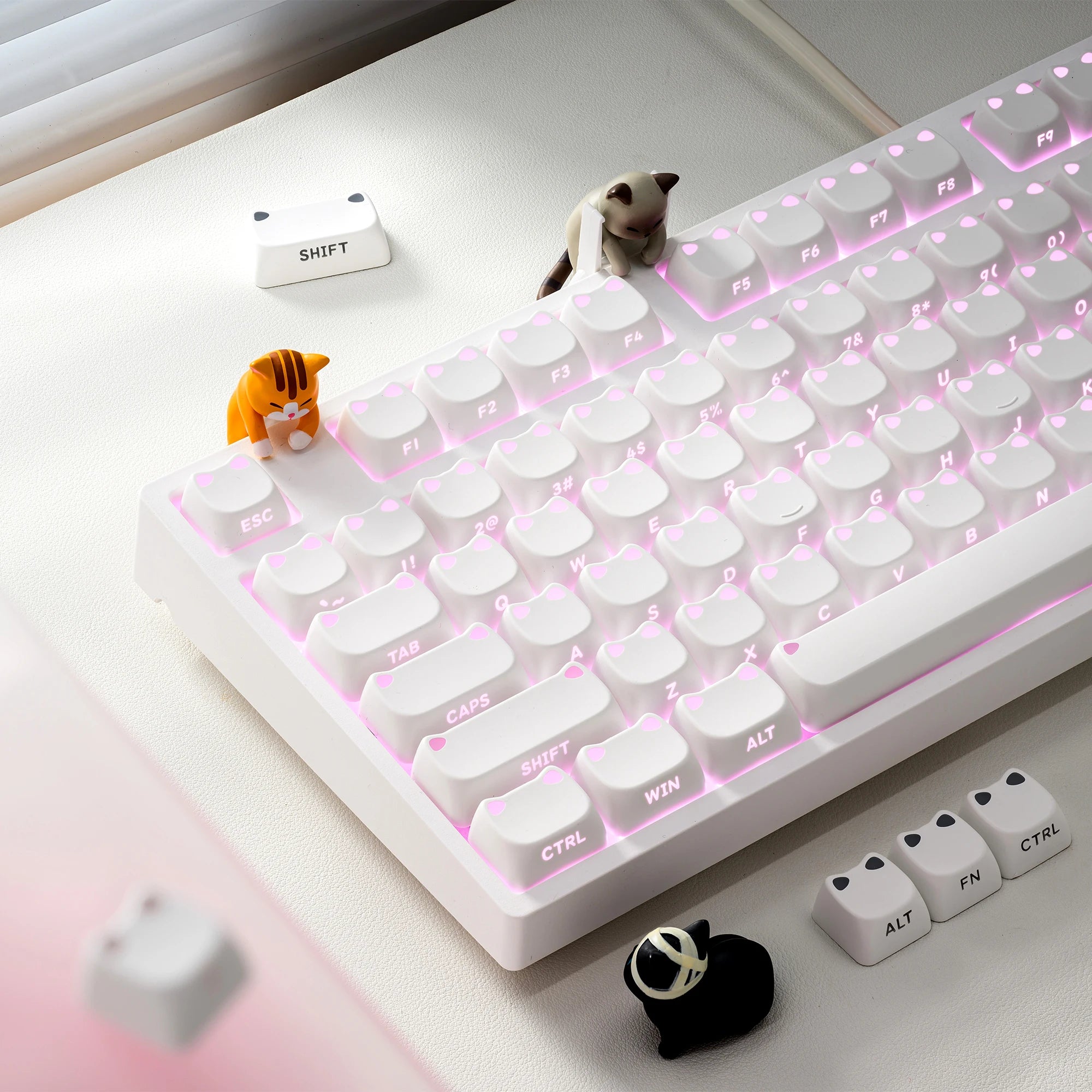 XVX Lumicat Keycaps: Best Custom Side Printed Gaming Keycaps